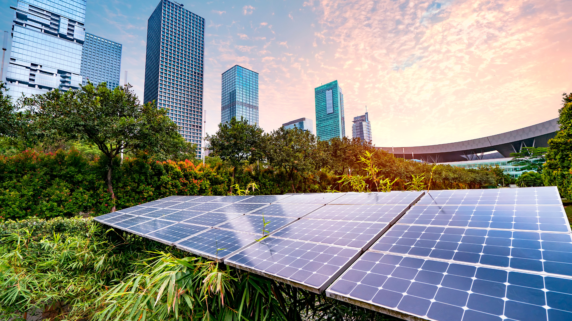 Greening The Concrete Jungle: Sustainability In CRE