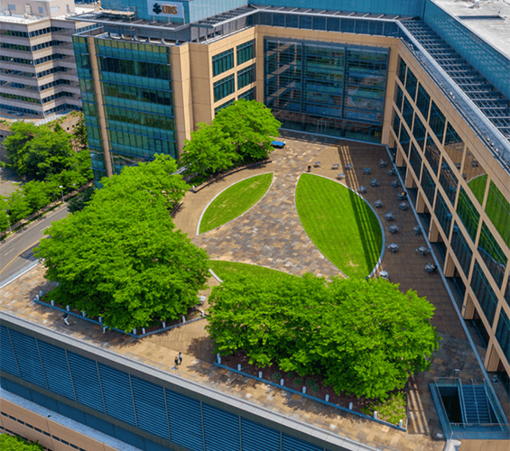 JLL Brokers Proactively Target Tenant Over 30-Months to Convert Pursuit and Fully Lease Asset