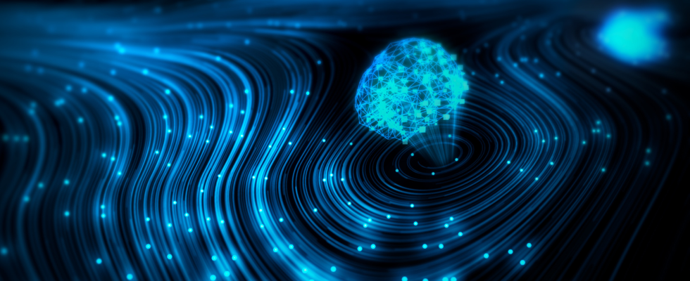 Navigating the AI Revolution