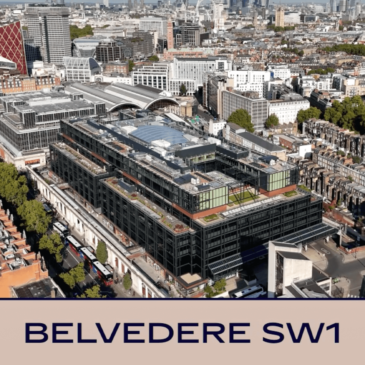 Belvedere SW1